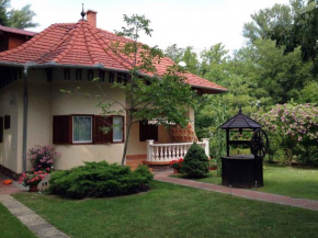 Apartment in Siofok/Balaton 19714